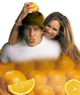Orange Smoothie  Nugo Healthy Snacks - Healthy Fundraising Bars